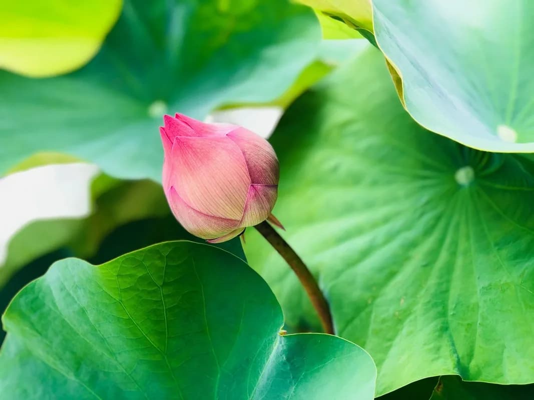 สร้างใจให้แกร่งในโลกการลงทุน: บทเรียนจากคนที่ผ่านร้อนผ่านหนาวมา 40 ปี