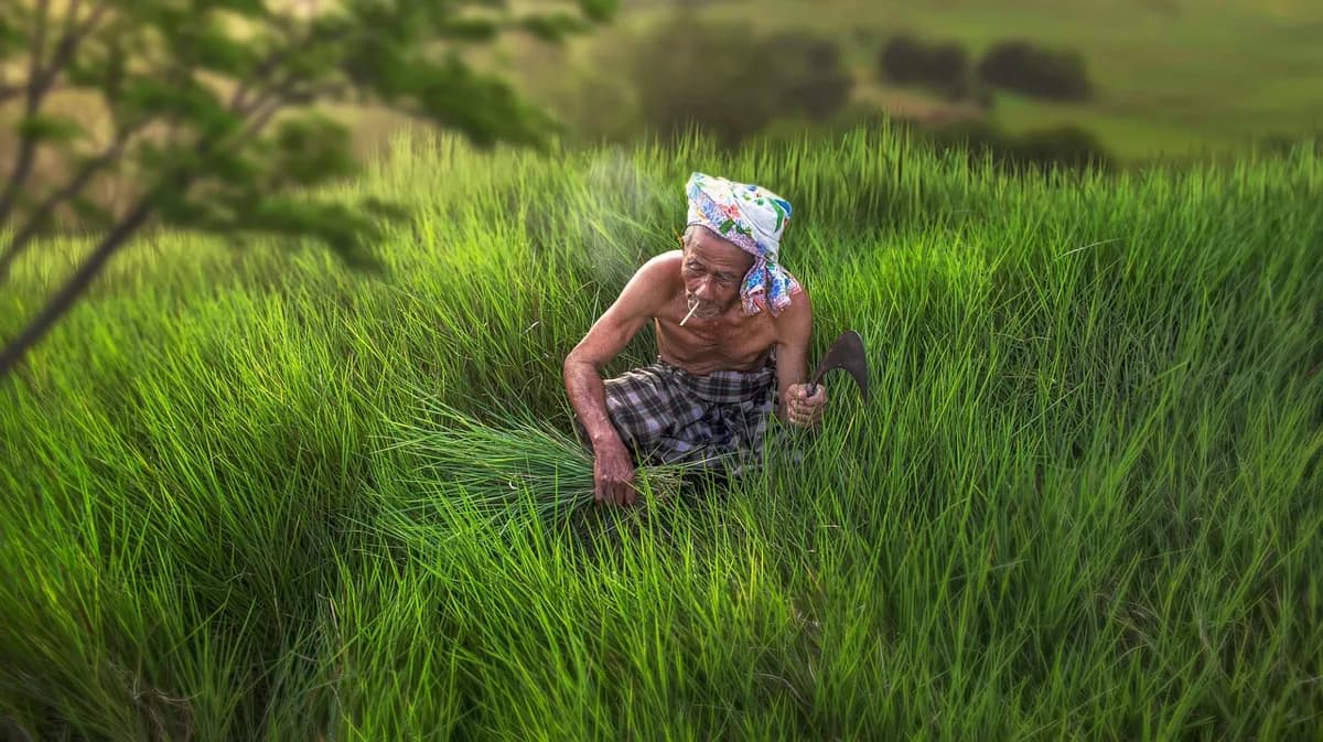 สุขภาพดิจิทัล: ใช้เทคโนโลยีให้เป็นประโยชน์ แต่ไม่ลืมดูแลกายใจของเรา