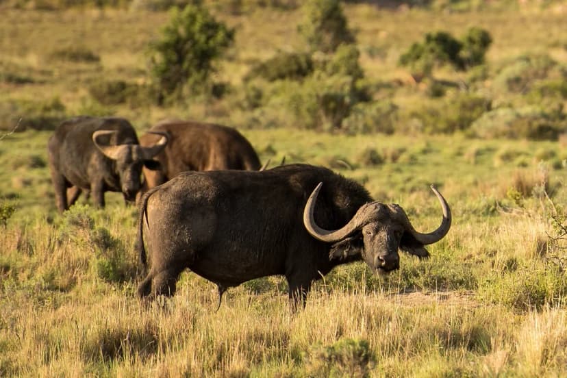 ก้าวข้ามกำแพงความคุ้นเคย: ปลดล็อกความสุขและศักยภาพในวัย 40+
