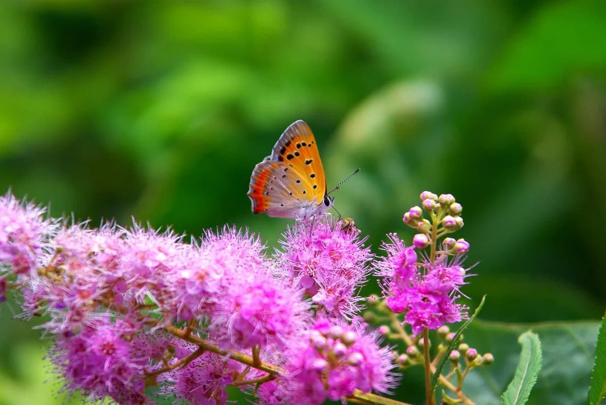เมื่อความมั่นใจสั่นคลอน: เข้าใจสมรรถภาพทางเพศในมุมมองที่ลึกซึ้งกว่า