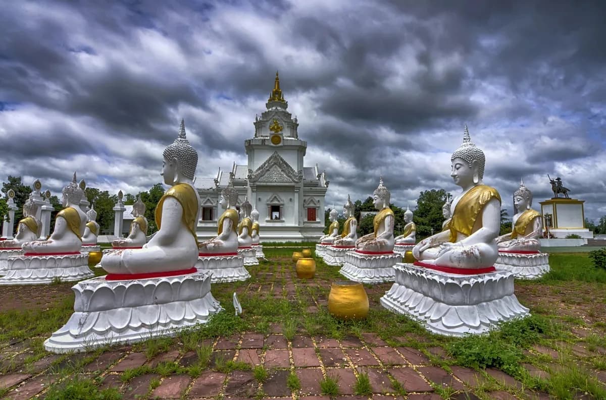 ความกตัญญูต่อชีวิต สอนอะไรเราเกี่ยวกับการใช้ชีวิตให้ดี