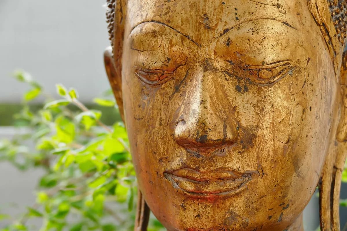 การสำแดงผลลัพธ์ในชีวิต: สร้างโลกภายนอกจากพลังภายใน