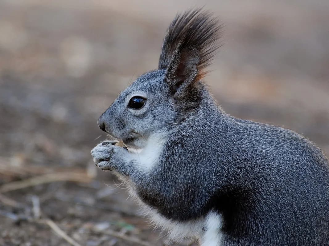 ธุรกิจ SME ของคุณพร้อมจะก้าวสู่ 'ระบบเซิร์ฟเวอร์' หรือยังครับ?