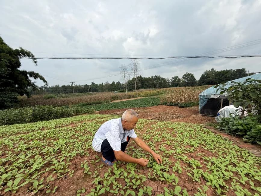 ความพอเพียง: กุญแจสู่ชีวิตที่สงบและมั่นคงในวัย 40+