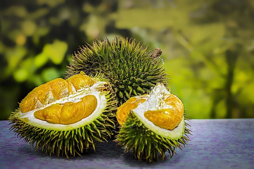 กางเต็นท์หน้าหนาว: เคล็ดลับจากประสบการณ์ เพื่อการพักผ่อนที่อบอุ่นและปลอดภัย