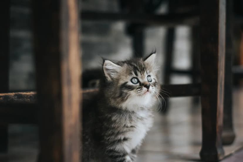 ลุงตี่ชวนคิด: ส่องโอกาสธุรกิจออนไลน์... เลือกอย่างไรไม่ให้พลาดท่า