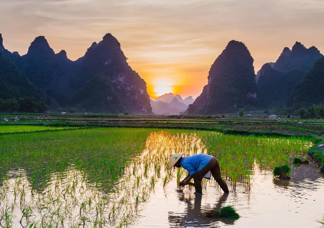 สุขภาพดีไม่มีสะดุด: ทางออกสำหรับผู้ประกอบการและฟรีแลนซ์