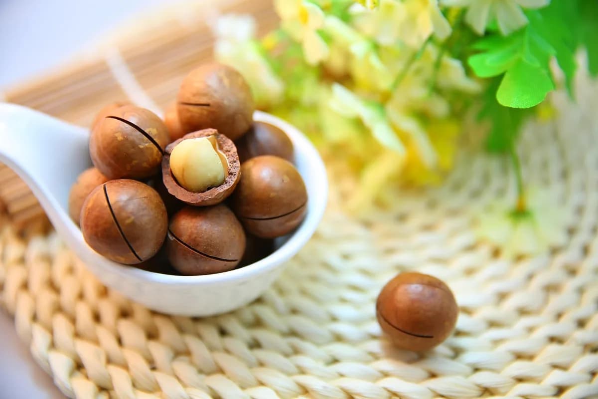 ไขมันในเลือดสูง: ภัยเงียบที่เราต้องรู้จักและจัดการให้เป็น