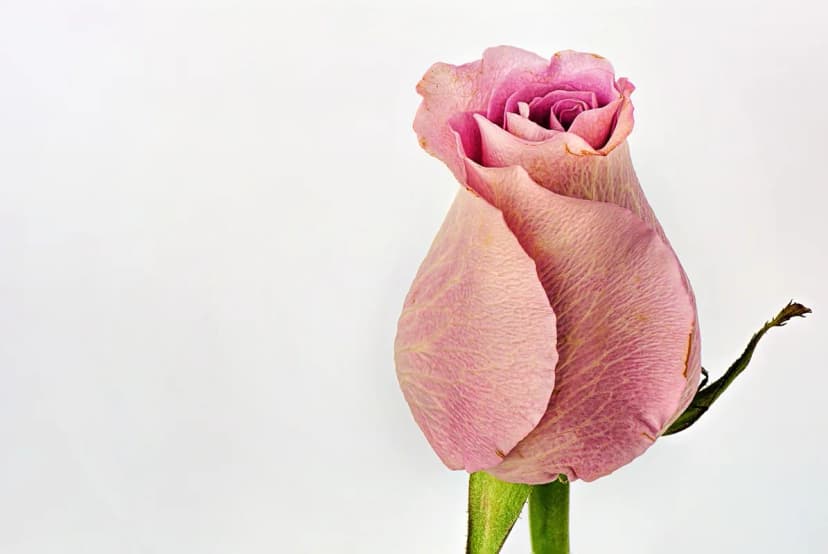 เปิดใจรับโอกาสใหม่: สร้างสัมพันธ์ออนไลน์ในวัย 40+