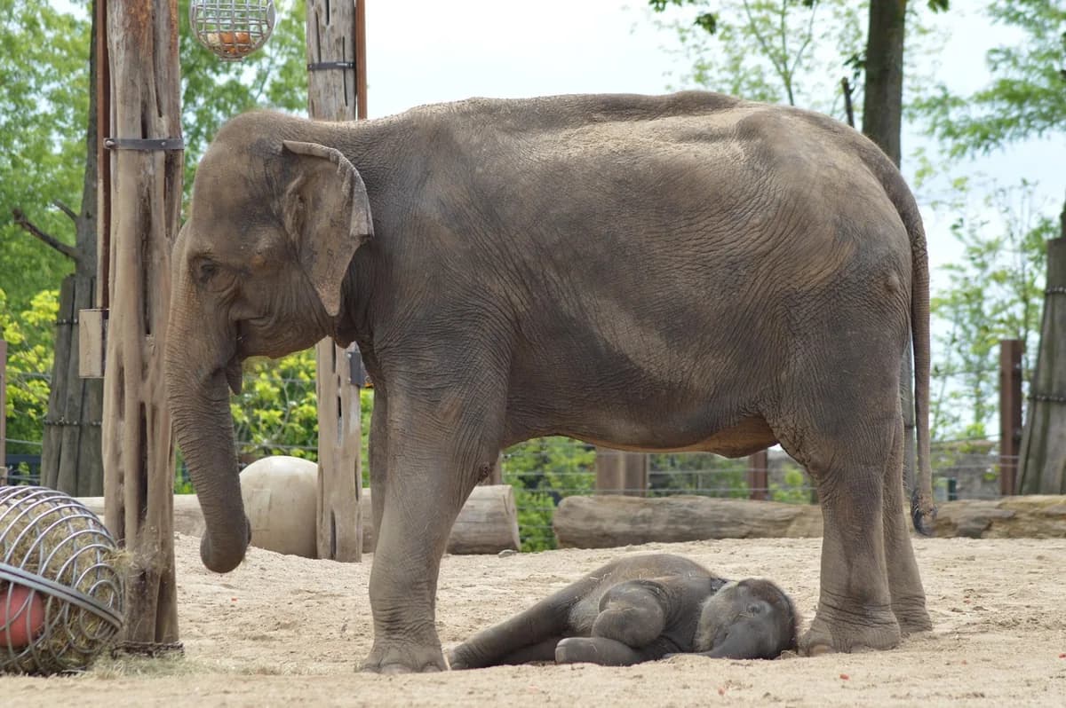 ลุงตี่ชวนคิด: สื่อสารอย่างไรให้ 'โดนใจ' และสร้างแรงบันดาลใจในวัย 40+