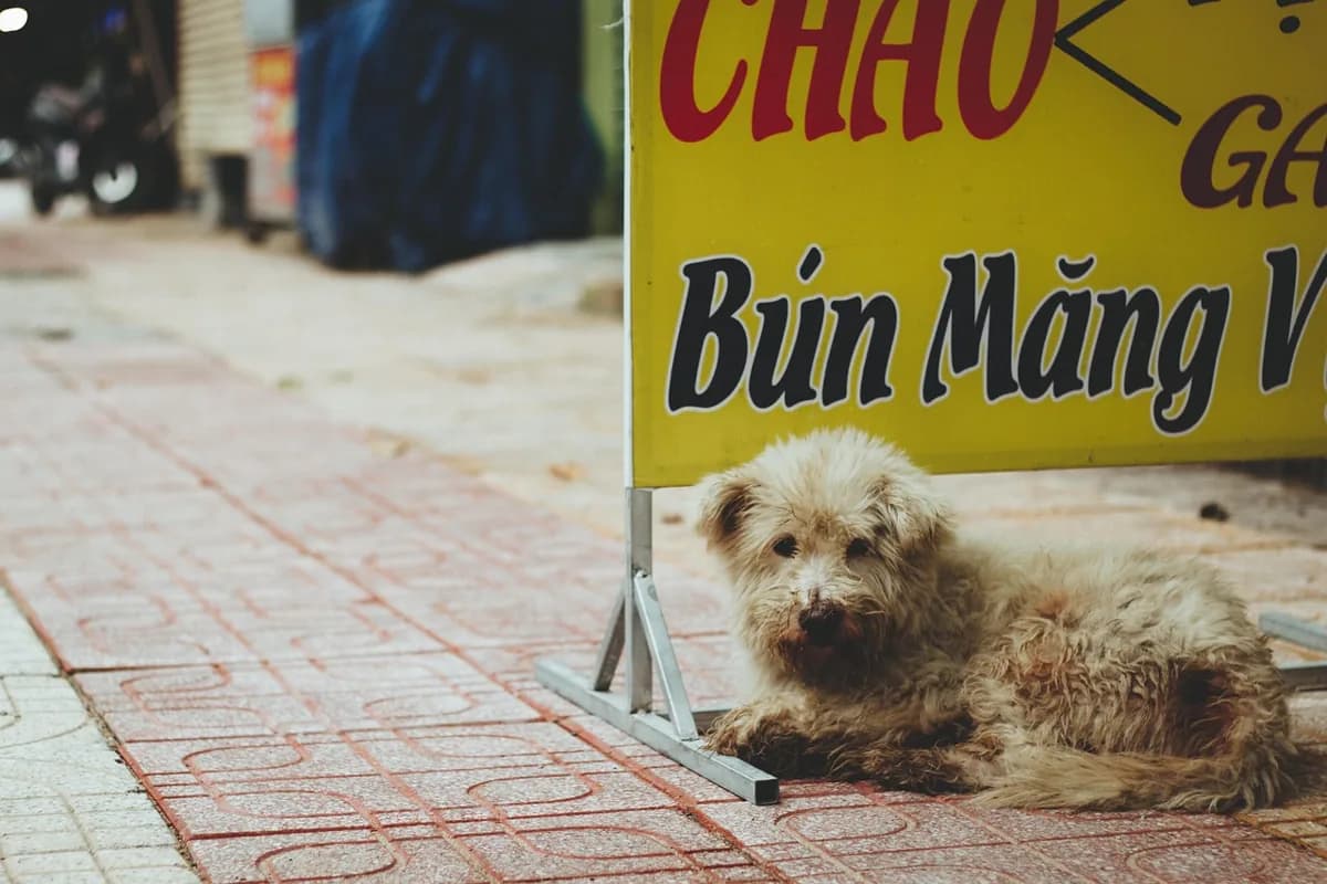 ประกันชีวิต: เสาหลักแห่งความมั่นคง ปกป้องคนที่คุณรักในวันที่ไม่คาดฝัน